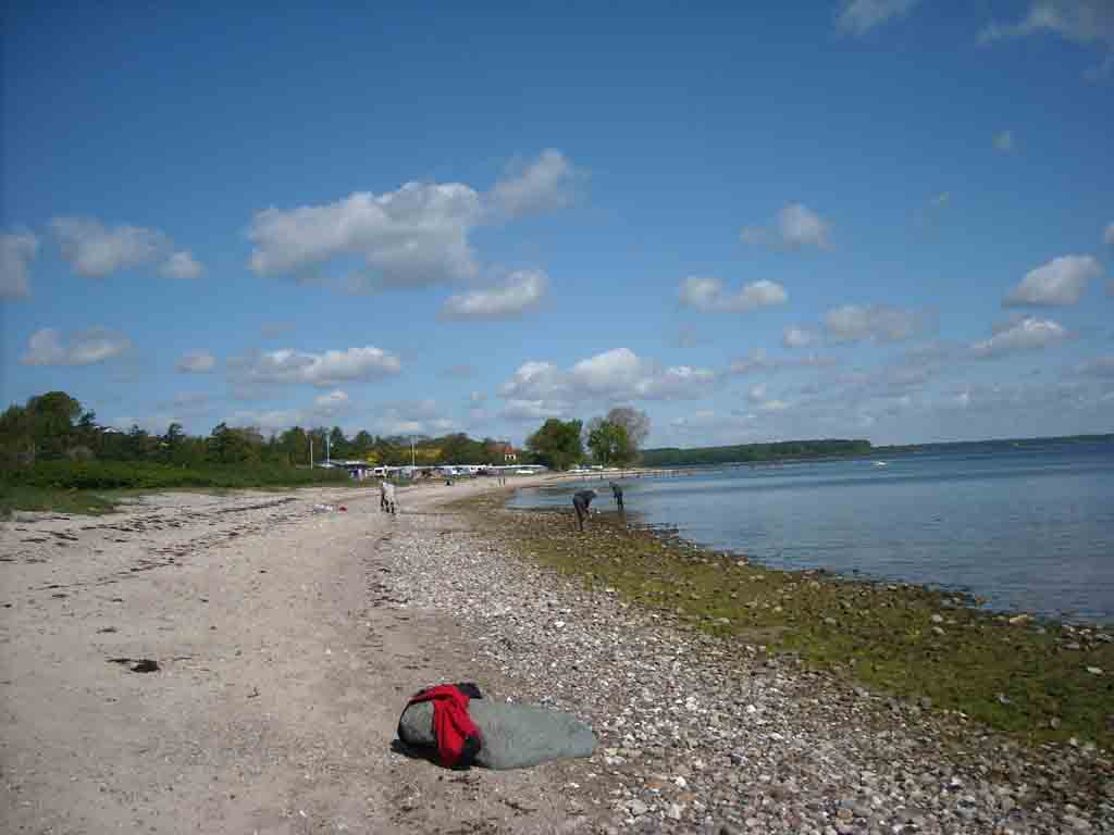 DSCN2152_.jpg DSCN2152_.jpg