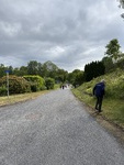 IMG_0572.jpg