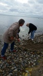 20170520_102807.jpeg